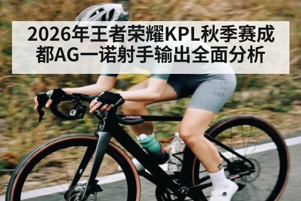 2026年王者荣耀KPL秋季赛成都AG一诺射手输出全面分析